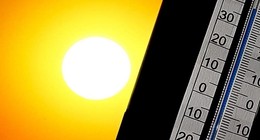 Yüksek sıcaklıklar hayatı felç etti! Ölü sayısı şoke etti!