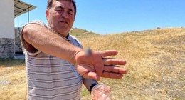 Görenler korkup panik yapıyor… Öldürenlere dev ceza! Arabadan bile daha pahalı…