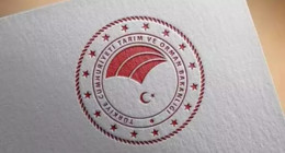 Avcılıkta yeni dönem! Bu balığı getiren 200 bin TL kazanabilir