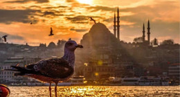 Endişelendiren rekor kırıldı! Türkiye'de 65 yıl sonra bir ilk