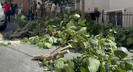 Fırtına İstanbul'u yerle bir etti! Yollar kapatıldı, ağaçlar devrildi... Yaralılar var