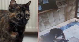 Vahşice katletmişti! Katilin cezası belli oldu