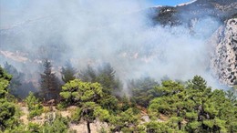 Bir orman yangını daha! Antalya'nın Kaş ilçesinde yangın çıktı