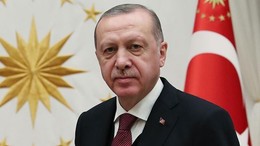 Cumhurbaşkanı Erdoğan Avusturya Başbakanı ile görüştü