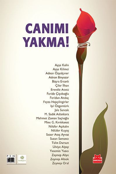 25 yazardan kadına karşı şiddete dur diyen öyküler: 'Canımı Yakma!'