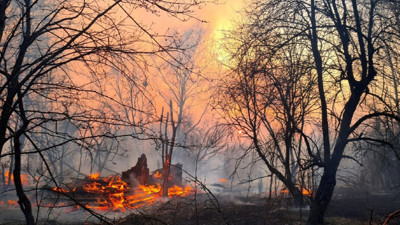 Çernobil’den korkutan haber!