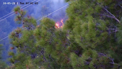 Orman yangını sonrası kolonya ve çakmakla yakalanan kişiye gözaltı