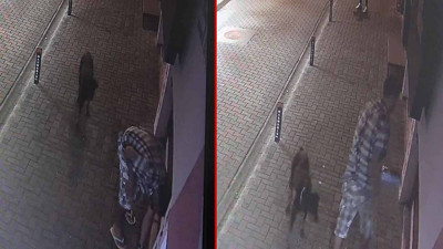 Dükkan önünden mama kaplarını çaldı: O anlar kamerada