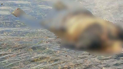 16 gün önce kayboldu,  Fırat Nehri'nde böyle bulundu