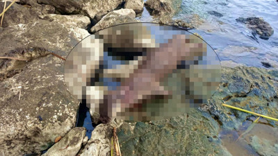 Nesli tükenmekte olan su samurunu tüfekle vurdu