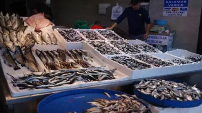 Karadeniz'de hamsi bolluğu