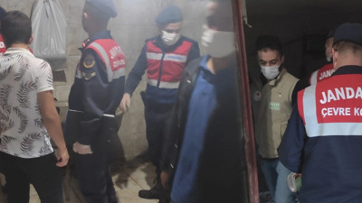 Düzce'de mide bulandıran olay... Baba ile oğlu suçüstü yakalandı