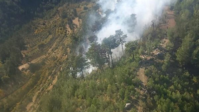 Manavgat'ta orman yangını