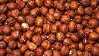 Fındıktaki tehlike ortaya çıktı. Faydasından çok zararı varmış. Kuruyemiş alerjisine dikkat çeken uzman doktor Şekerel, aileleri ve çocukları uyardı