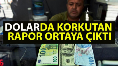 Dolar ile ilgili korkutan rapor ortaya çıktı. Societe Generale stratejistlerine göre insanlar bankalardan paralarını çekebilir,  hiperenflasyon yaşanabilir. 'Dolar/TL için artık çok geç' dedi ve uyardı