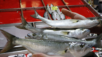 Etkili olan fırtına, balık fiyatlarını da vurdu. Hem lodos hem de sezon sonu olması nedeniyle lüferde fiyatlar arttı