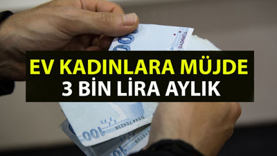 Ev kadınlarına müjde geldi: 3 bin lira aylık. Dolar ve euro patladı, İŞKUR yeni işleri duyurdu. Evden yapılacak bu işlerle 3 bin lira maaş alabilirsiniz. İşte İŞKUR'un kadınlara yönelik evden yapılabilecek işleri