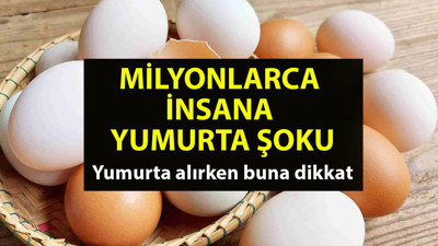 Tüketiciye büyük şok. Yumurtadaki sahtekarlığı bizzat yumurta üreticisi açıkladı. YUMBİR Başkanı İbrahim Afyon, B sınıfı yumurtalar için şoke edici bir açıklama yaptı. Yumurta alan vatandaşlara büyük uyarı