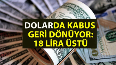Dolarda kabus geri mi dönüyor? Ünlü ekonomist 'yatırım tavsiyesi değildir' dedi, 18 lirayı geçen yeni dolar kuru tahmininde bulundu
