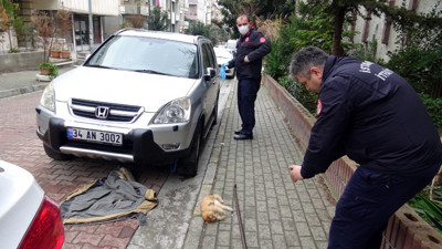 Soğuk havalarda elinizle kaputa vurmadan motoru çalıştırmayın