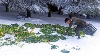 Tekirdağ'da kar yağışının ardından yaban hayvanlarının aç kalmasının önüne geçilmesi için yüksek kesimlere 750 kilo yem bırakıldı
