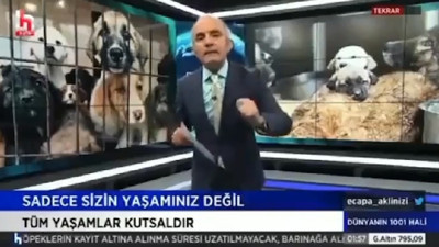 Halk TV ekranlarında tansiyon yükseldi. Emin Çapa’dan belediyelere 'sokak hayvanları' tepkisi: Bu dünyaya katiller, caniler, tecavüzcüler, çocuklara saldıranlar, kadınları doğrayanlar sığıyor da...