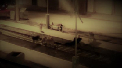 Köpeklerin saldırdığı 7 yaşındaki Ahmet yaralandı! Vücudundaki yaralara yönelik ileriki dönemde plastik cerrahi müdahalesi yapılacak