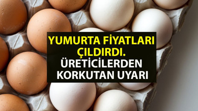 Yumurta fiyatları çıldırdı, üreticilerden korkutan uyarı geldi. KDV indirimi oldu, yumurta fiyatları rekor zam gördü.  Yumurta Üreticileri Merkez Birliği (YUM-BİR) Başkanı İbrahim Afyon'dan yumurtayla ilgili korkutucu çıkış
