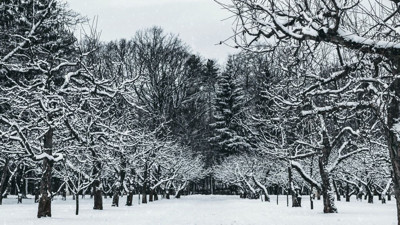 İstanbul’da yoğun kar yağışı hayatı zorlaştırıyor: İstanbul’a giriş çıkışlar kapandı mı? Harem ve Esenler otogarı kapandı mı?