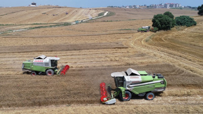 Buğday taban fiyatını açıkladı. Toprak Mahsulleri Ofisi (TMO) buğday fiyatını ne kadar açıklayacak? Seyhan Ziraat Odası Yönetim Kurulu Üyesi Cahit İncefikir'den flaş çağrı