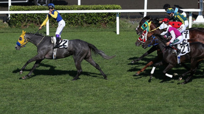 96. Gazi Koşusu'nun galibi Secret Power ile Özcan Yıldırım oldu