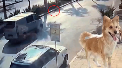 4 yaşındaki Miya minibüsün altında kaldı. Sürücü durmayıp kaçtı: Vicdanımız sızladı, en azından dursaydı