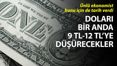 Doların 9 TL olacağı planı açıkladı. Dünya gazetesi yazarı Şeref Oğuz, 'fiskos'u yazdı ve dolara müdahalenin tarihini açıkladı ve uyardı