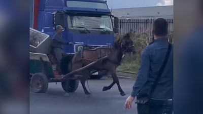 Romanya'da ilginç anlar: Polis ve at arabalı hırsız arasında kovalamaca kamerada