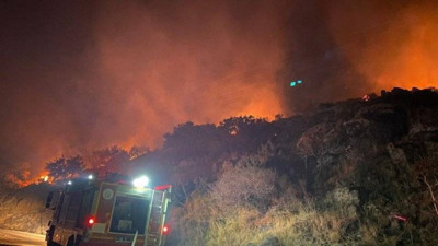 Bodrum'daki orman yangınında 5 dönümlük alan kül oldu