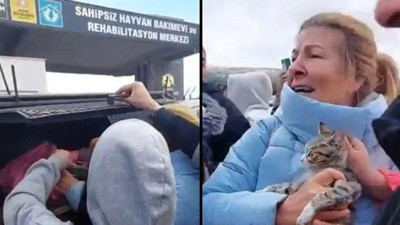 Konya’daki hayvan barınağında yeni skandal. Kan donduran olay ortaya çıktı. Poşet içerisine konulmuş kediler kurtarıldı