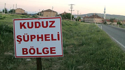 Kars'ta kuduz alarmı! Karantinaya alındılar: Saldırgan hareketlerin ardından ani ölüm!