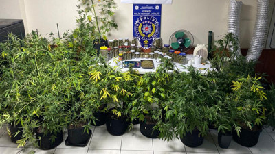 Bekçi kokuyu aldı, polis baskın düzenledi. İstanbul'un göbeğinde evini Hint keneviri serasına çevirmiş: 15 kilogram uyuşturucu ve onlarca kök kenevir ele geçirdi