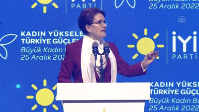 Kadına şiddet uygulayan terapi merkezine gidecek. İYİ Parti Genel Başkanı Akşener'den kadına şiddet çıkışı: Kadına şiddet uygulayan erkekleri terapi evlerine göndereceğiz