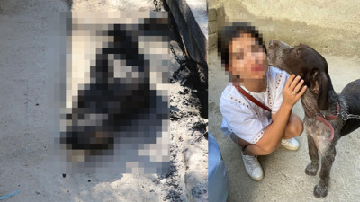Denizli'de akıl almaz hayvan şiddeti! 3 yaşındaki av köpeğini diri diri yaktılar. Yangının kasten çıkarıldığı bildirildi