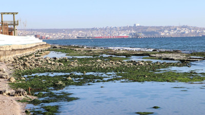 Deniz çekildi, kral yolu ortaya çıktı. Marmara Denizi 25 metre çekildi, deprem söylentisi dolaştı. Doç. Dr. Emre Özşahin'den açıklama geldi