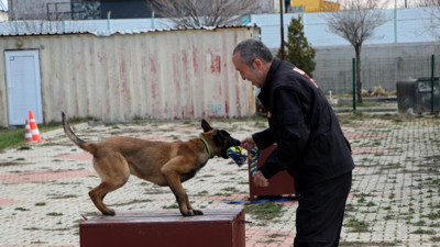 Depremde Meksika'dan can kurtarmaya gelip görev sırasında ölen Proteo ismi yeni bir canda yaşayacak. Artık AFAD'ın da bir 'Proteo'su var