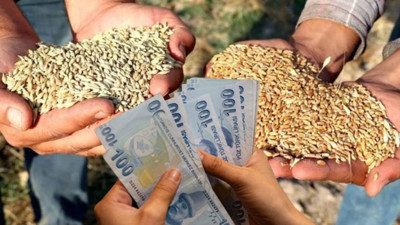 Buğday fiyatları güncellendi: Ticaret Borsaları ve TÜRİB hububat fiyatları belli oldu. İşte Mayıs itibarıyla geçerli olan buğday ve yulaf fiyatları