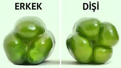 Meğer yıllardır hiç dikkat etmemişiz: Dolmalık biber satın alırken bu detaya mutlaka dikkat edin. Böyle seçilmeli yoksa iyi pişmiyor