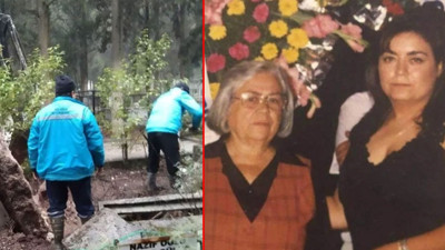 DNA testi sonuçlandı, 100 milyonluk servete ortak oldu. Türkiye'nin en uzun süren babalık davası sona erdi: Hukuk mücadelesini 39 yıl sonra kazandı, bir servete ortak oldu