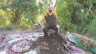 Hayali 'Arı Adam' olmak: Guinness Rekorlar Kitabı hayali için üzerine 60 kilogram arı topladı