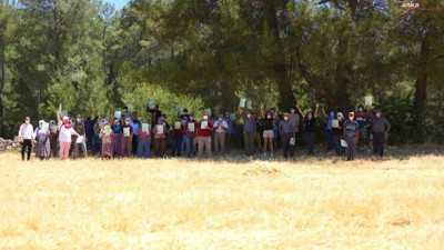 Akbelen ormanı için direniş sürüyor! Akbelen direnişi için İstanbul'dan yola çıktılar. Kesimin durdurulması için dava açıldı