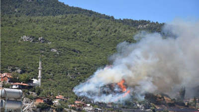 Orman yangınları artıyor! İzmir'de orman yangını