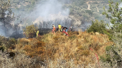 Orman yangınları sürüyor. Malatya'da çıkan yangına müdahale eden iki itfaiye eri yaralandı