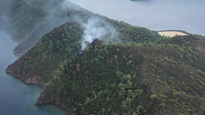 Muğla yine alevlere teslim oldu. Yıldırım düşmesi sonucu Marmaris'te orman yangını çıktı. Yangın bir buçuk saatte kontrol altına alındı